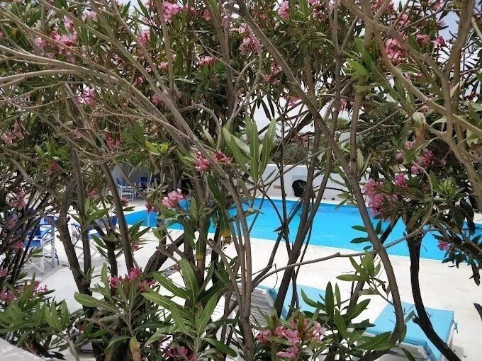 Зображення Thalia Apartments 3*